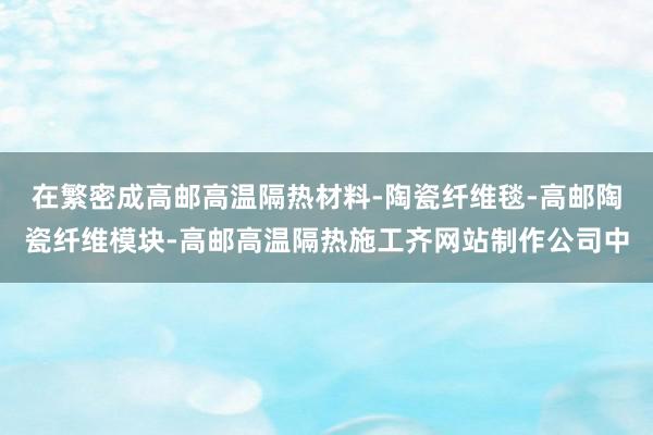 在繁密成高邮高温隔热材料-陶瓷纤维毯-高邮陶瓷纤维模块-高邮高温隔热施工齐网站制作公司中